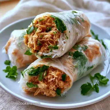 Crispy Chicken Rice Paper Rolls
