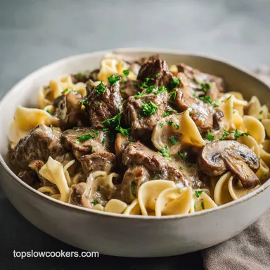 Slow Cooker Beef Stroganoff for 6 Servings Recipe Card