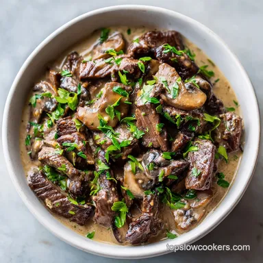 Slow Cooker Beef Stroganoff for 6 Servings